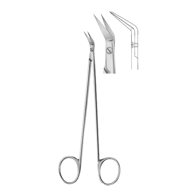 Oral Scissors