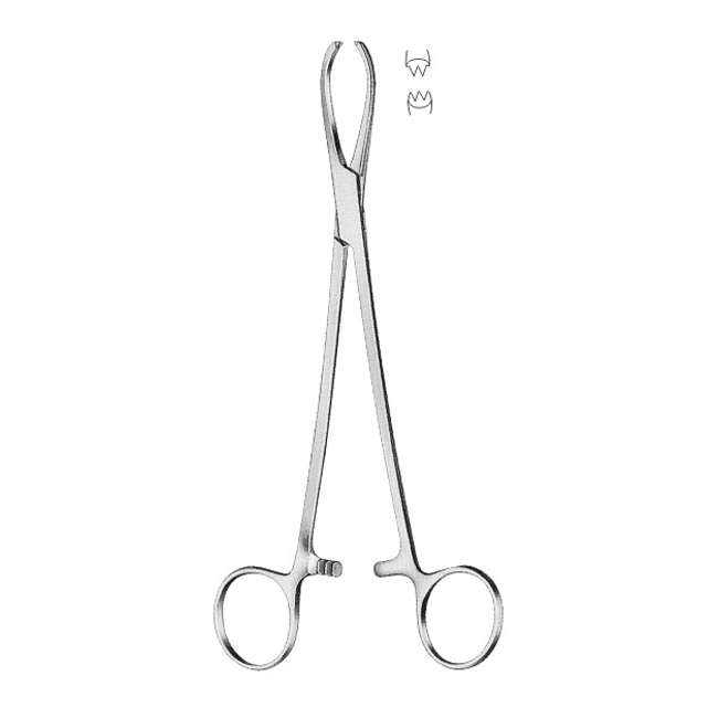  Tissue Forceps