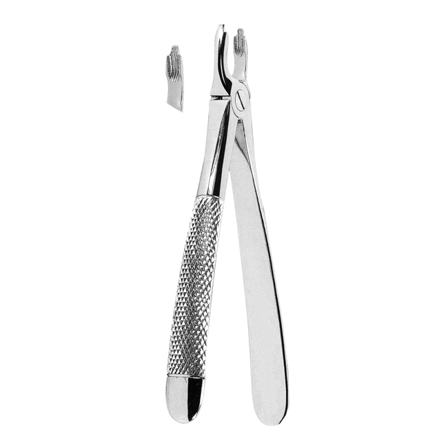 Extracting Forceps