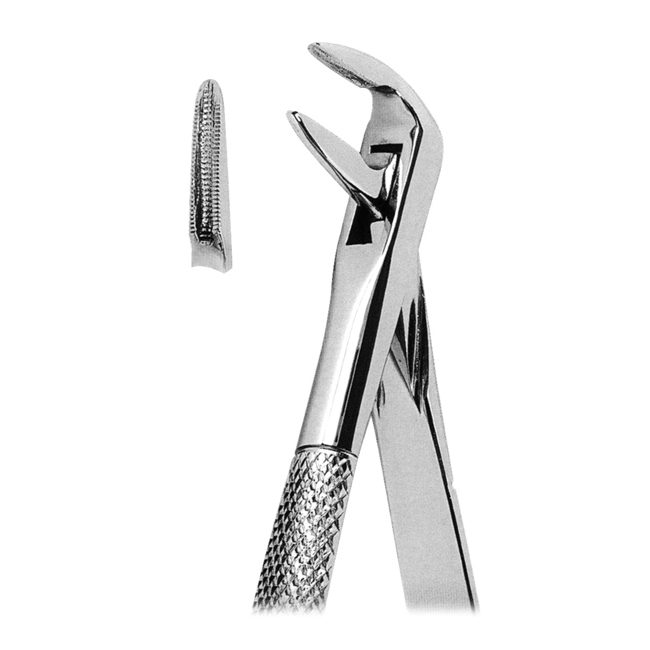 Extracting Forceps