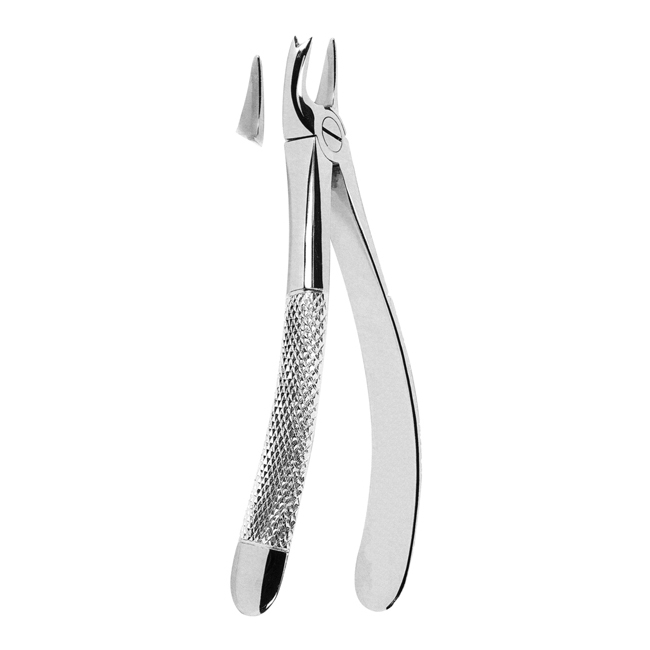 Extracting Forceps