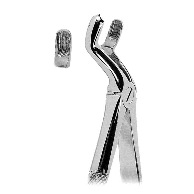 Extracting Forceps