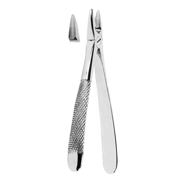 Extracting Forceps- Mead Pattern