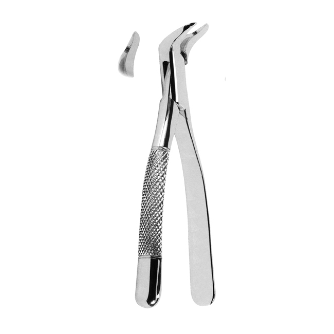 Extracting Forceps American Pattern