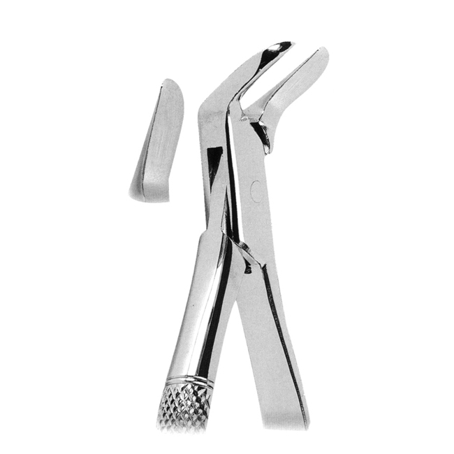 Extracting Forceps American Pattern