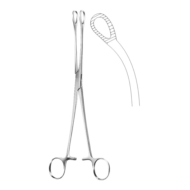 Sponge Holding Forceps