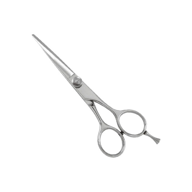 Professional Razor Edge Shears