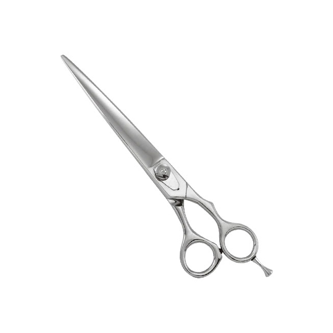 Professional Barber Shears