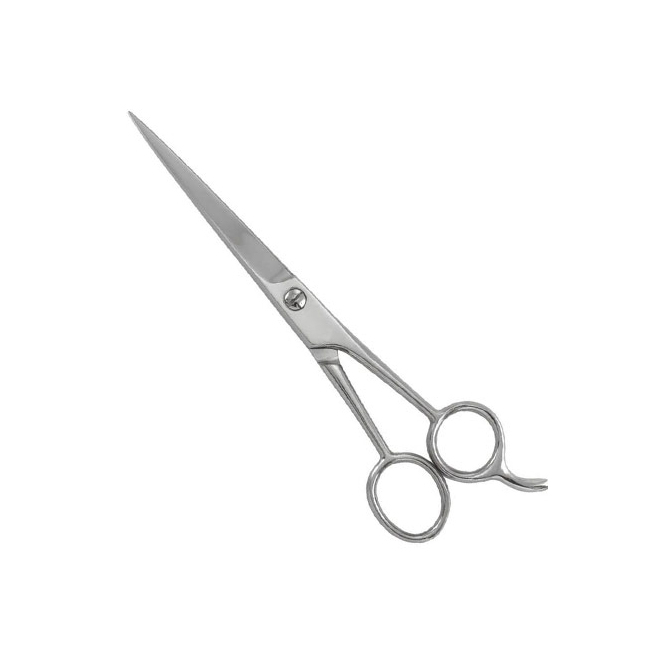 Professional Barber Shears