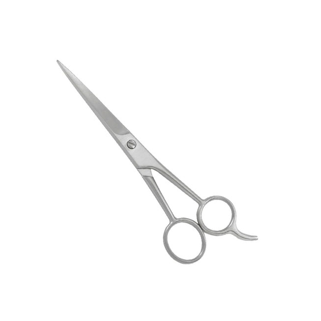 Professional Barber Shears