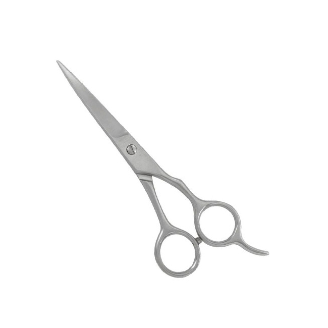 Professional Barber Shears