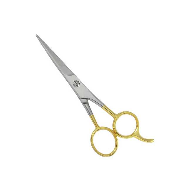 Professional Barber Shears
