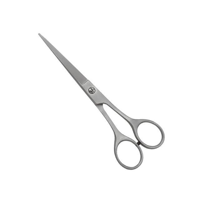 Professional Barber Shears