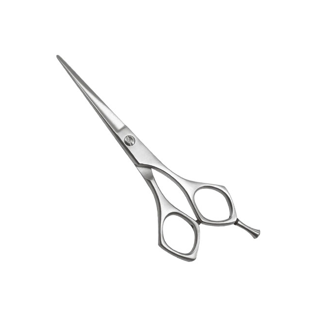 Professional Barber Shears