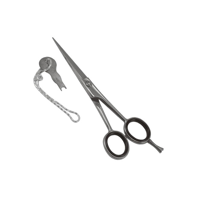 Professional Barber Shears