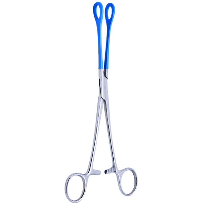 Ring Forceps