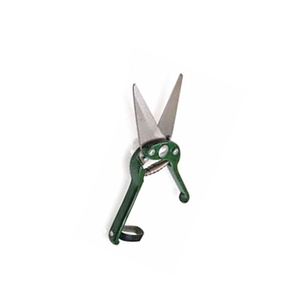 Foot Root Shear