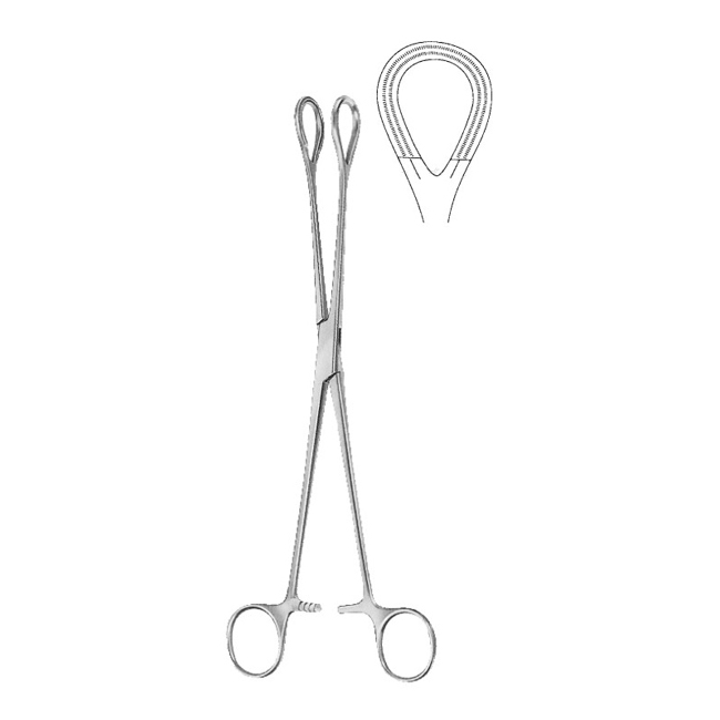  Ovum Forceps