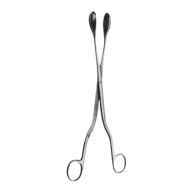  Ovum Forceps