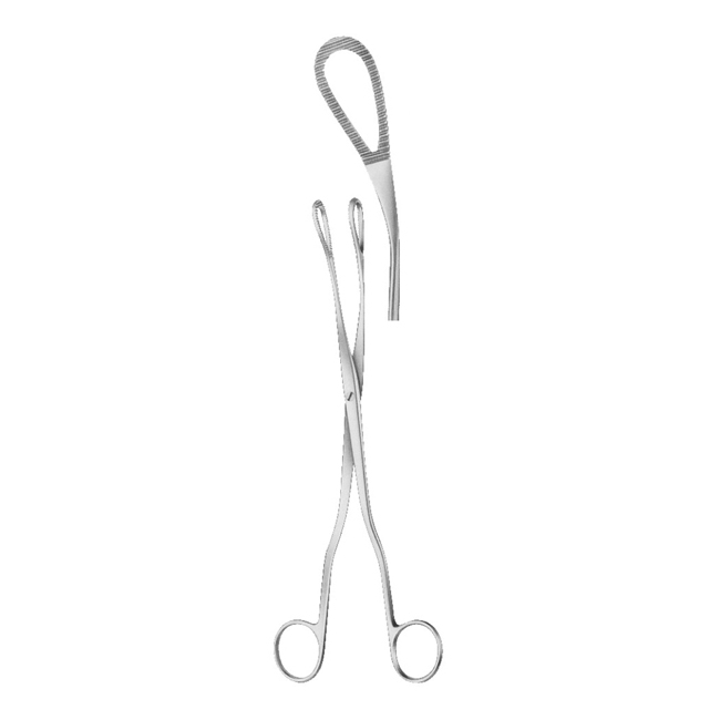  Ovum Forceps