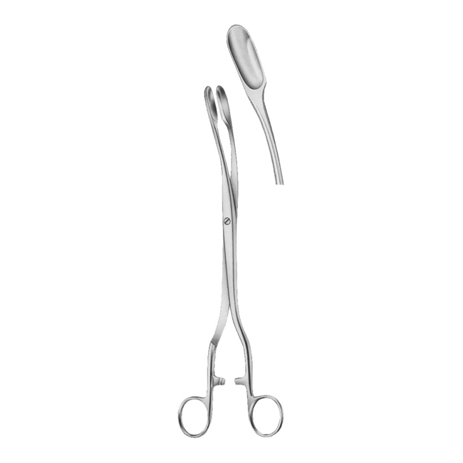  Ovum Forceps